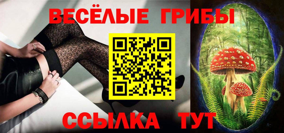 Галлюциногенные грибы Cubensis  Галлюциногенные грибы мицелий  Вход с VPN  Донской 